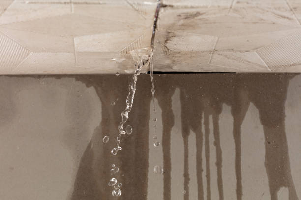 Professional Structural Drying technician working in Hamilton, MI